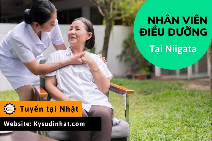 [Tokutei-DD010209] Nhân viên điều dưỡng tại Niigata
