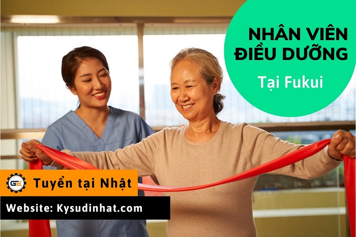 [Tokutei-DD050331] Nhân viên điều dưỡng tại Fukui