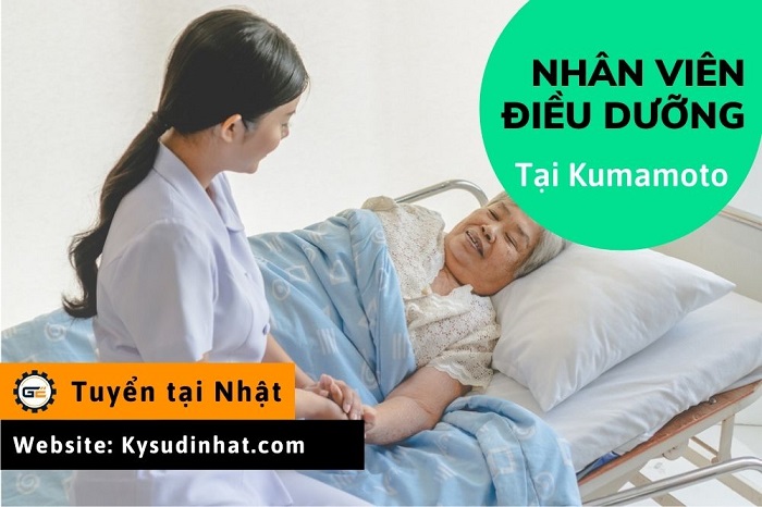 [Tokutei-DD220336] Điều dưỡng tại Kumamoto